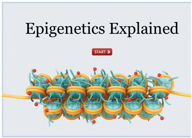 B&P 10.4 – Epigenetics Explained